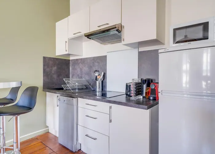 Charming In The Heart Of Apartment Bordeaux